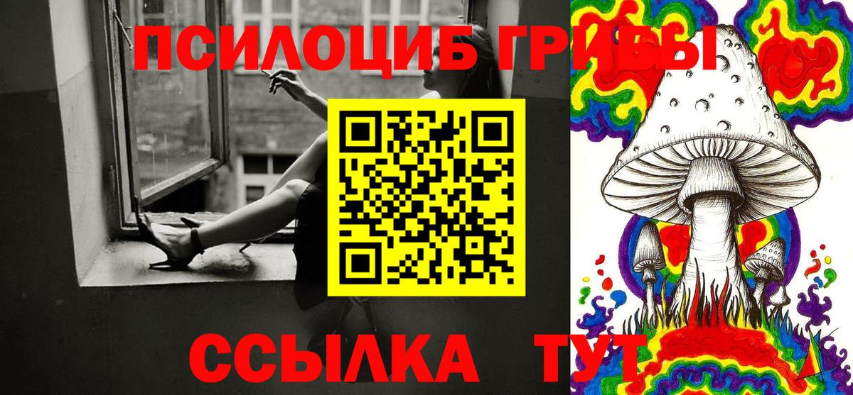 Псилоцибиновые грибы мицелий Нягань